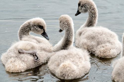 Funny, how one can miss celebrated photo spots